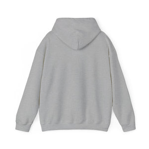 US Unisex Heavy Blend™ Hooded Sweatshirt