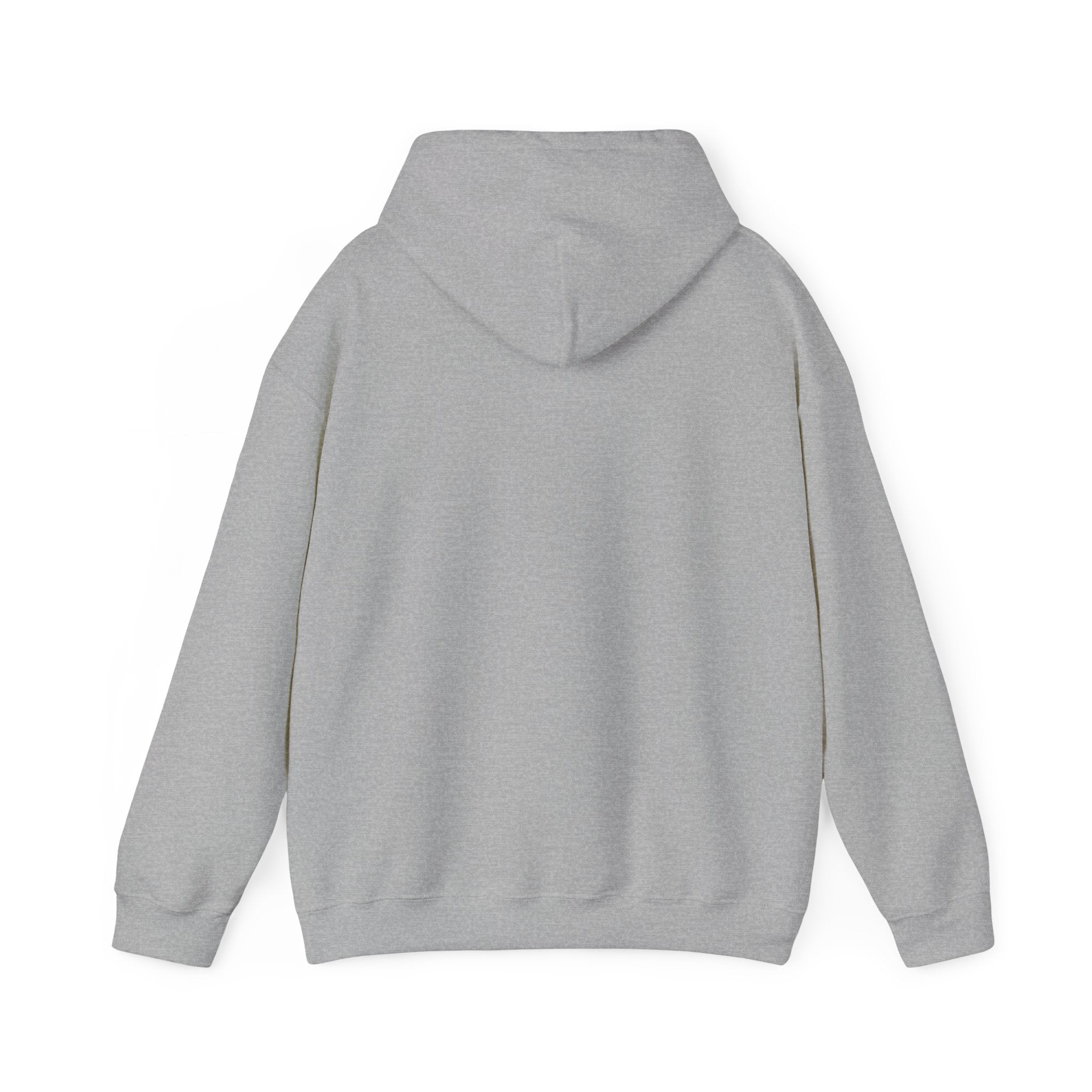 RIRL Unisex Heavy Blend™ Hooded Sweatshirt